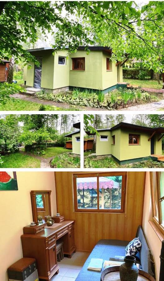 Lesna Ostoja W Centrum Puszczy Nadnoteckiej Otoczona 3 Jeziorami Miedzychod Ngoại thất bức ảnh